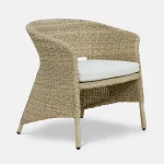 Palm dining chair with cushion